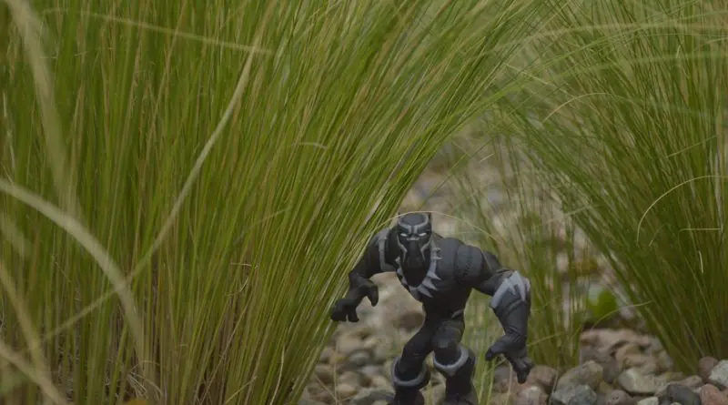 La suite de Black Panther
