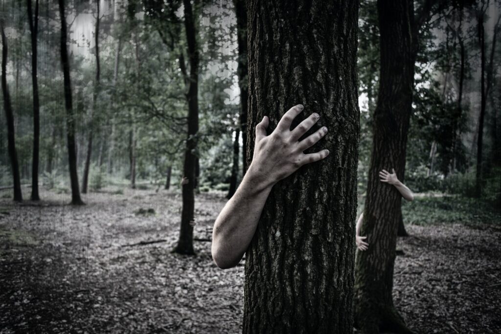 Tout sur le film Evil Dead Rise