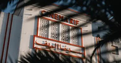 A vintage cinema is framed by palm leaves.